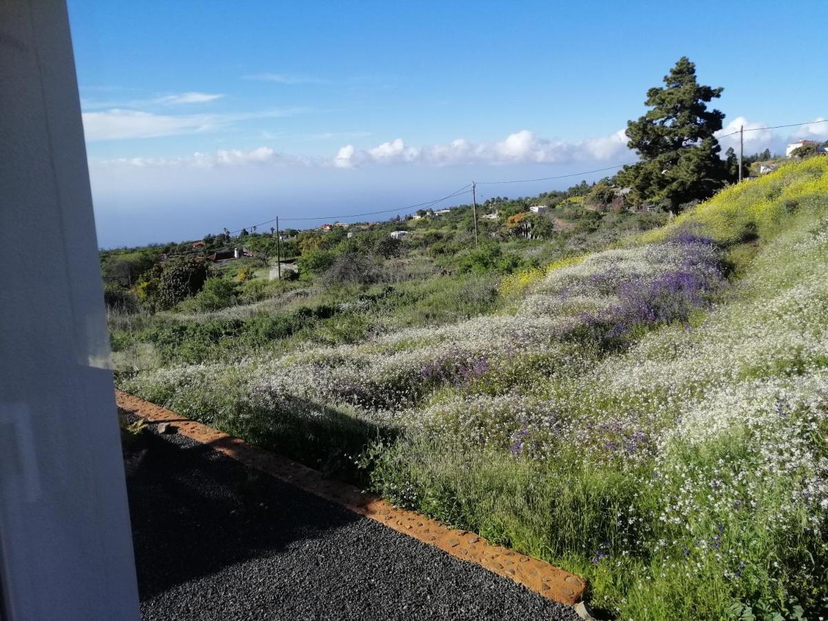 Alma Villa Garafia Luaran gambar