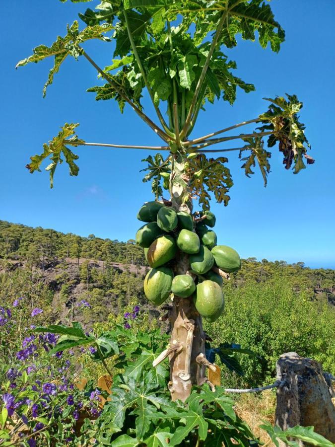 Alma Villa Garafia Luaran gambar
